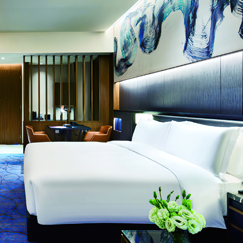commercial sofa beds for hotels.jpg