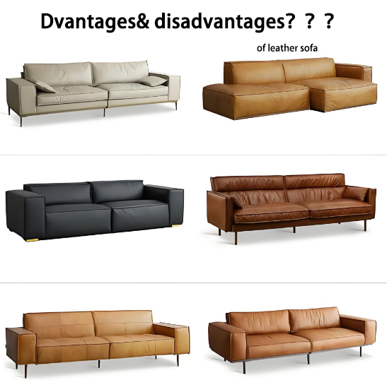 Advantages, disadvantages, and maintenance methods of leather sofas
