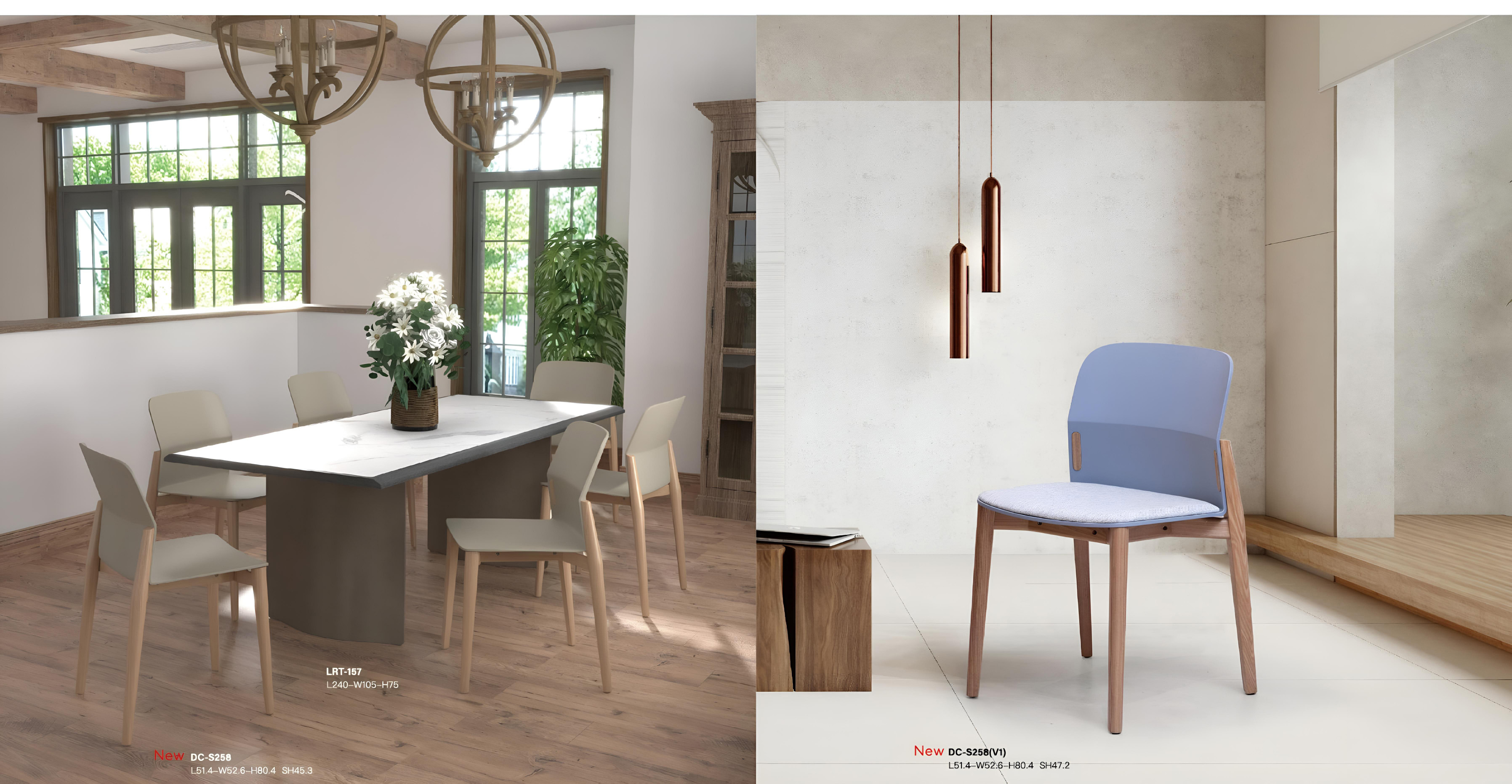 dining room chair (2)